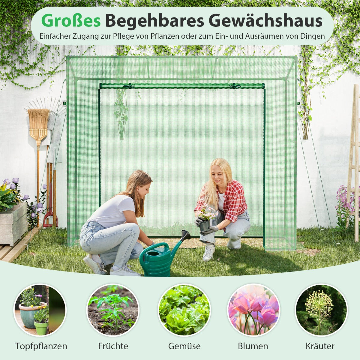 Gewächshaus groß, Foliengewächshaus, mit Aufrollbarer Tür & 2 Netzfenstern, Gewächshaus folie 200 x 77 x 169 cm, Grün, Costway, 4
