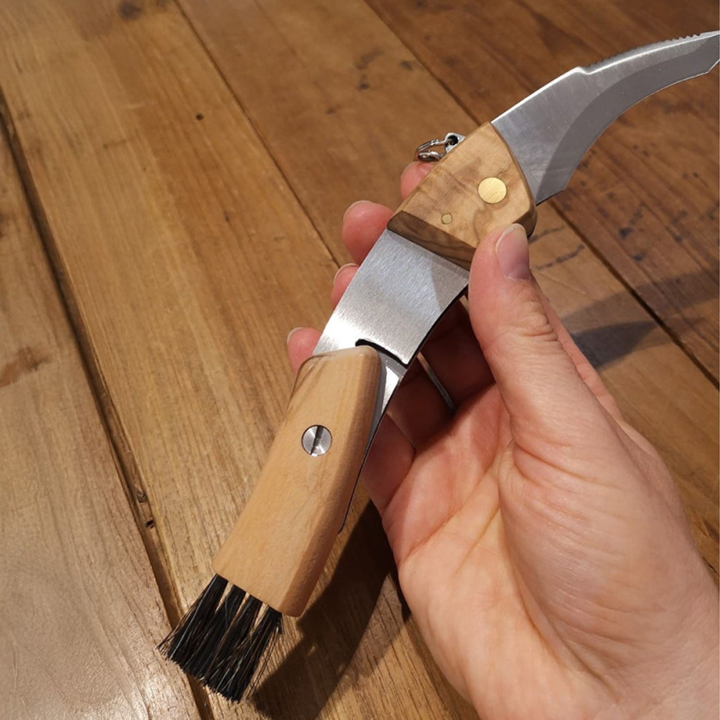 Pilzmesser, Klappmesser, Klappbares Pilzmesser mit Olivenholzgriff, Maserin Pilzmesser, 8