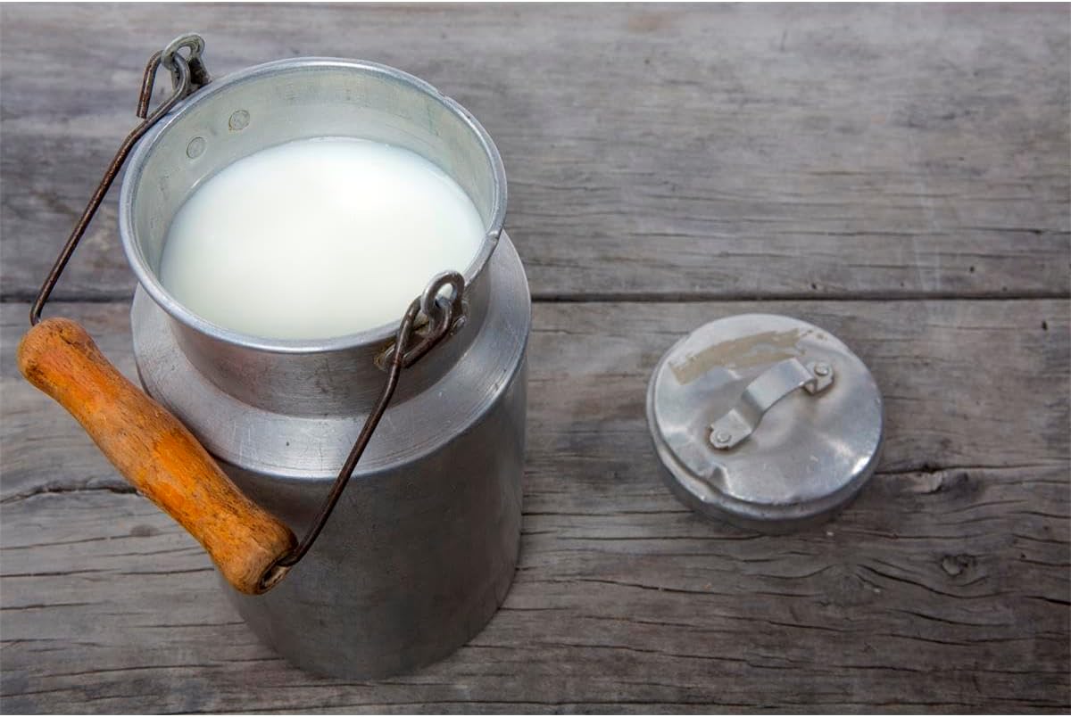 PHILIPS Saeco Reiniger für Milchkreislauf CA6705/10, 6x2g, Entkalker Kaffeemaschine, für Philips, Saeco und andere Kaffeevollautomaten, 5