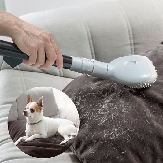 Bürste für Staubsauger Smoovah InnovaGoods, 1