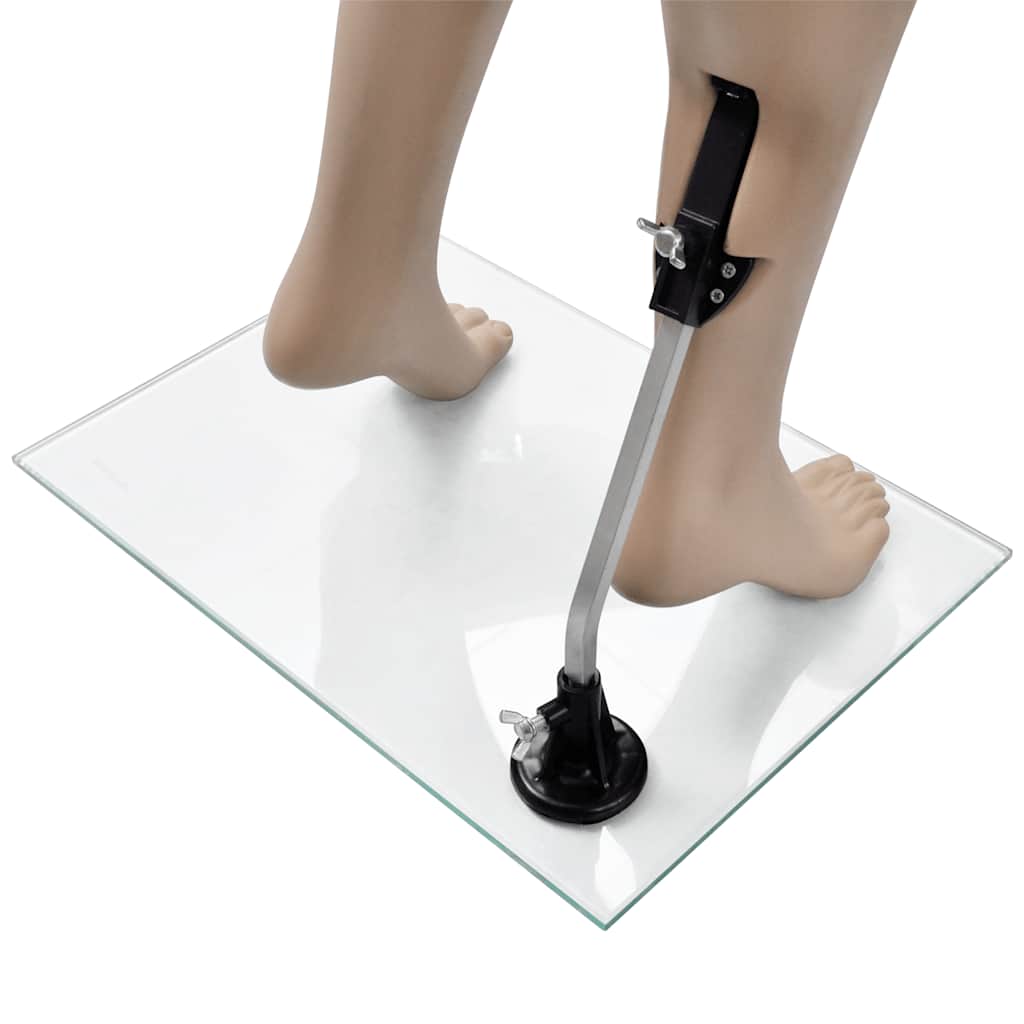 Schaufensterpuppe Frau Runder Kopf, vidaXL, 6