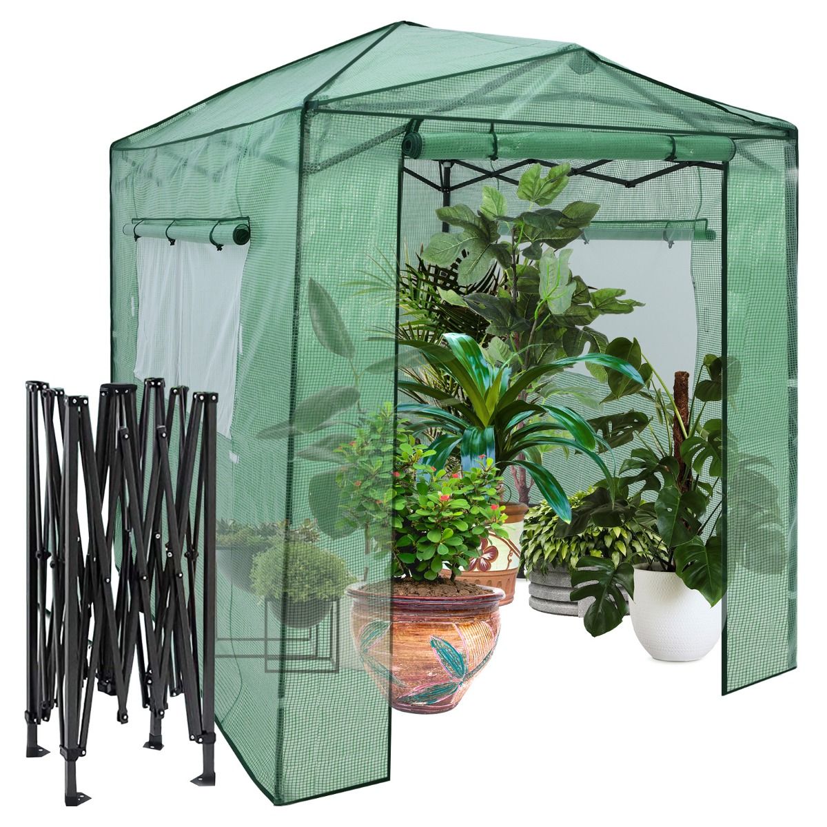 Gewächshaus, Foliengewächshaus, Gewächshaus groß, Tragbares Pop-up-Gewächshaus Begehbares, Gewächshaus folie 180 x 250 x 230 cm, Grün, Costway, 2