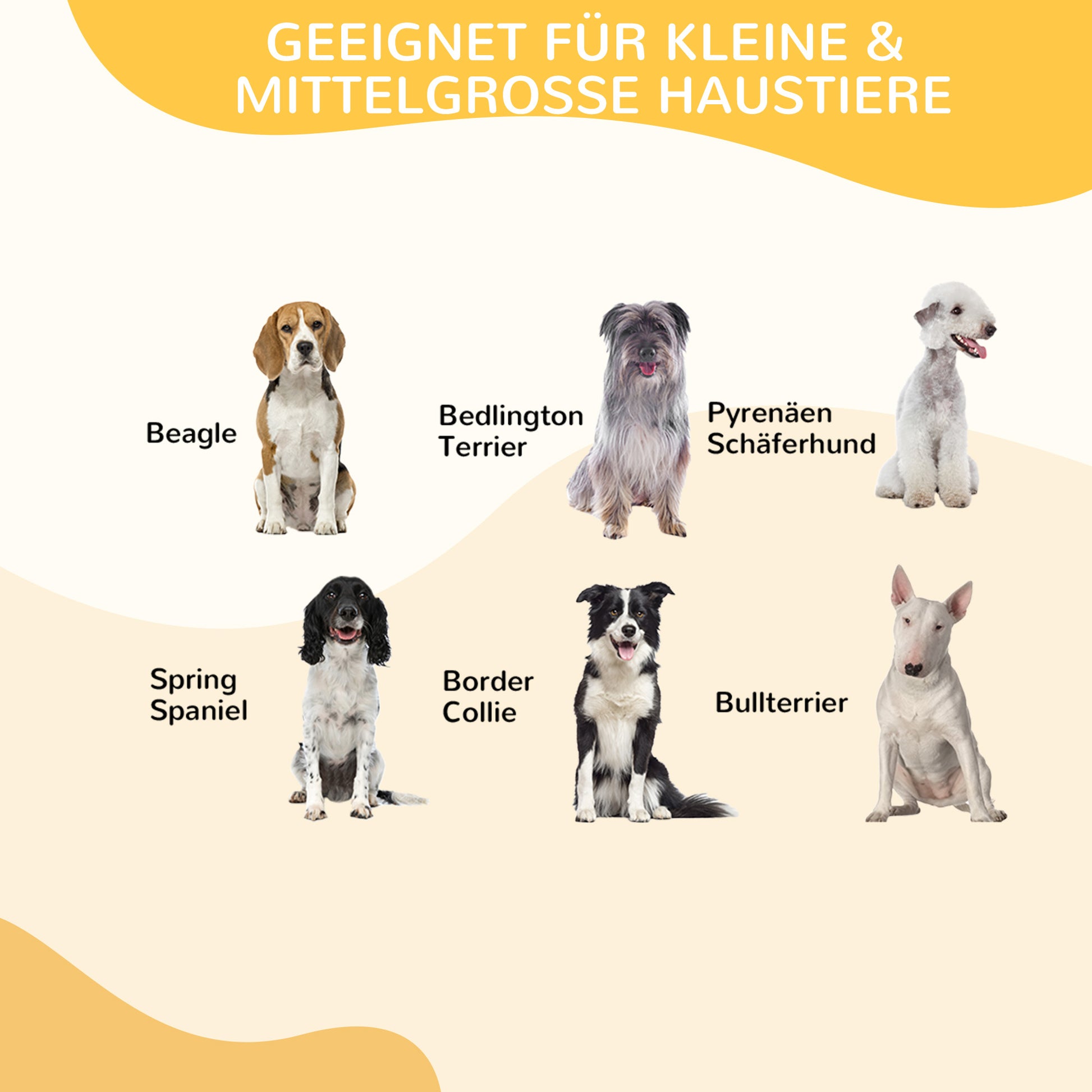 Welpenauslauf, Welpengitter, Freigehege, Laufstall für Haustier Laufgitter, Laufstall Hundegehege, mit Tür, Metall Schwarz, 5