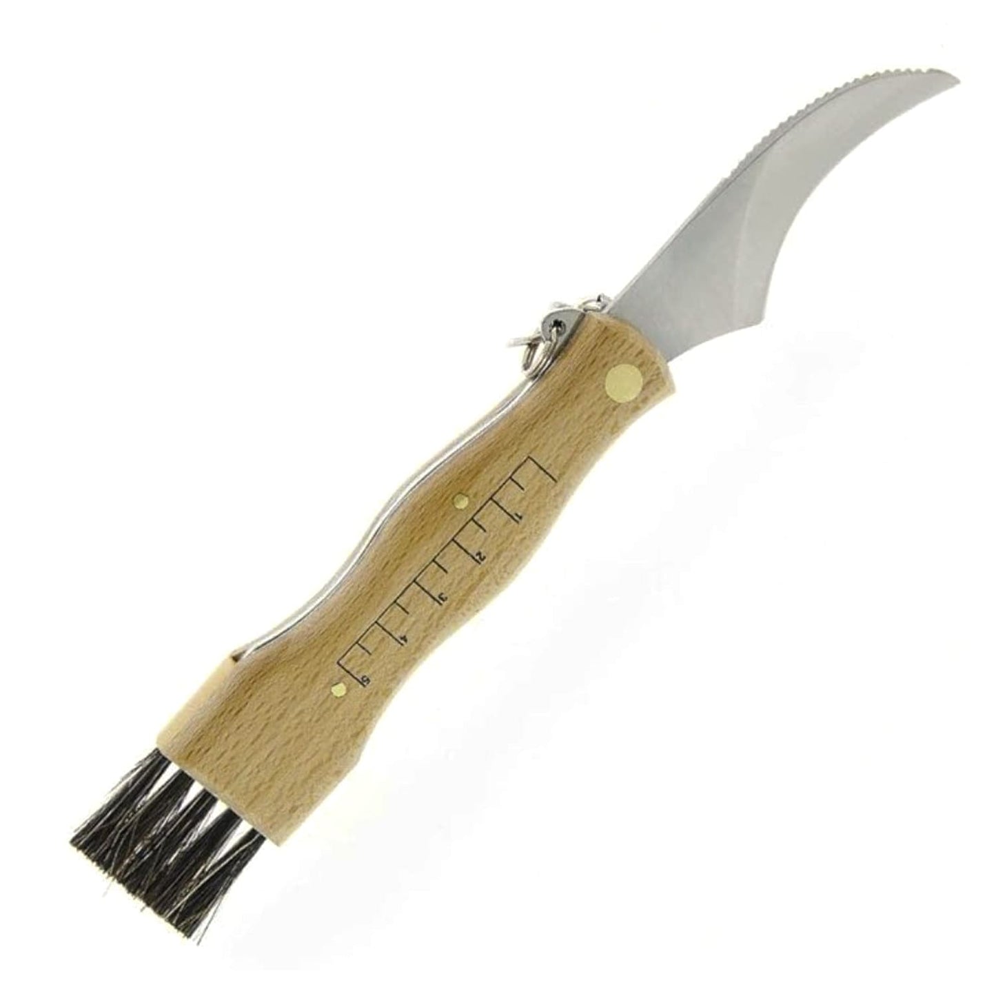 Pilzmesser, Klappbares Pilzmesser, mit Buchenholzgriff, Klappmesser, Maserin, 3
