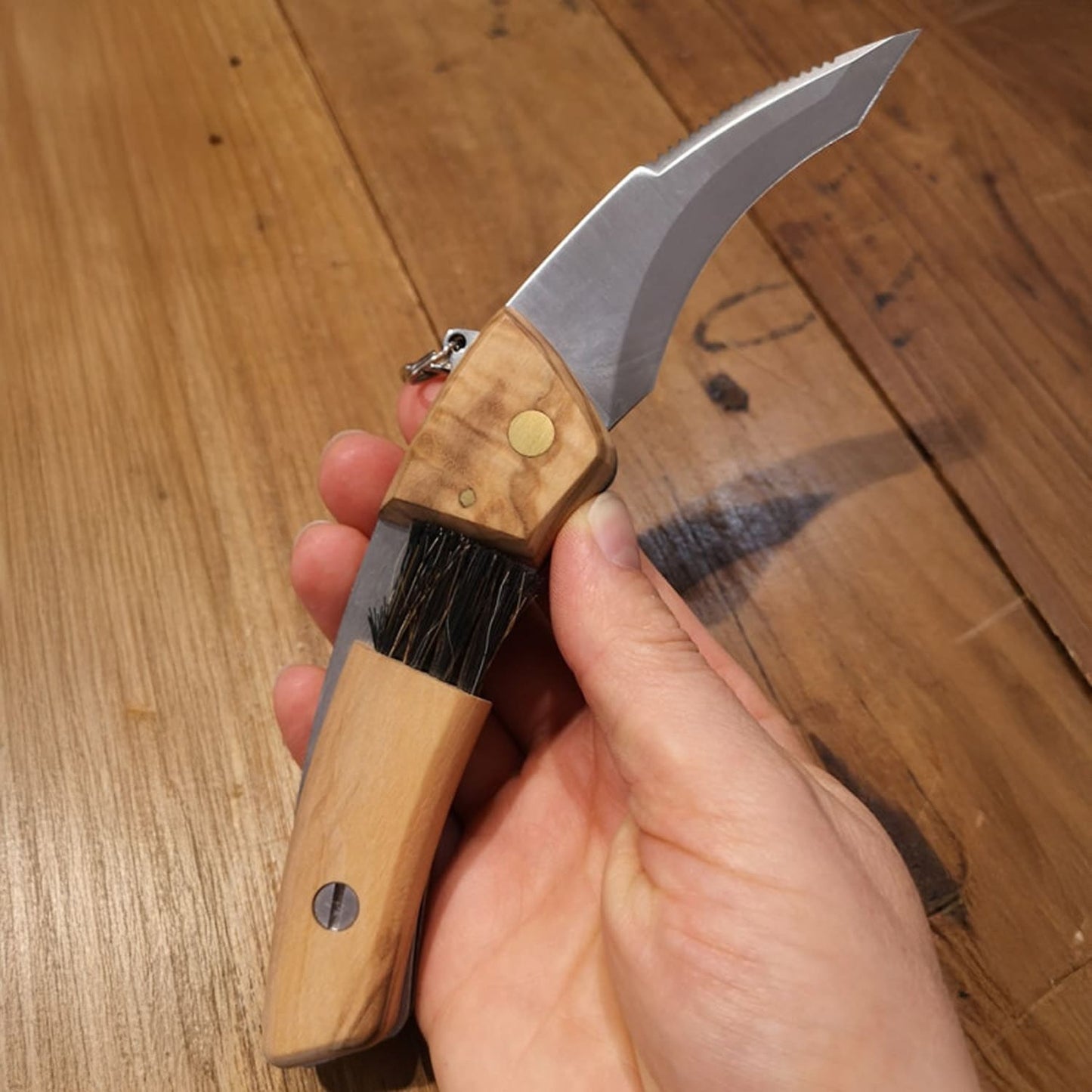 Pilzmesser, Klappmesser, Klappbares Pilzmesser mit Olivenholzgriff, Maserin Pilzmesser, 6