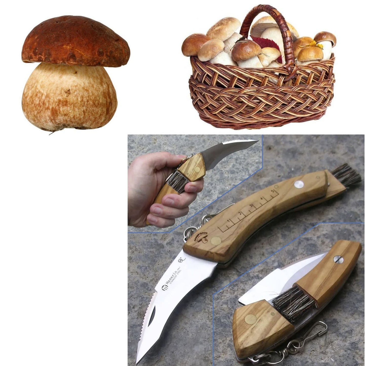 Pilzmesser, Klappmesser, Klappbares Pilzmesser mit Olivenholzgriff, Maserin Pilzmesser, n