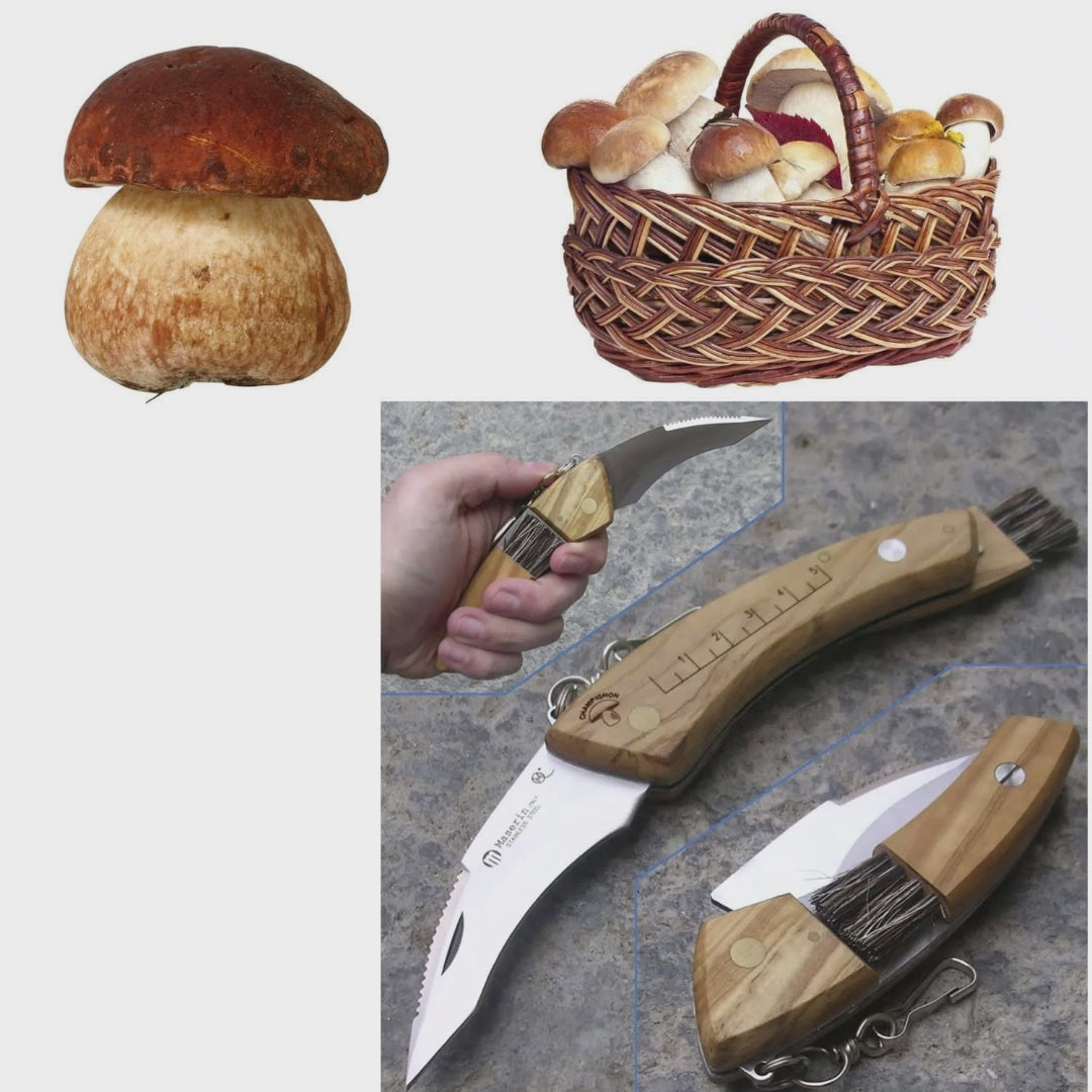 Pilzmesser, Klappmesser, Klappbares Pilzmesser mit Olivenholzgriff, Maserin Pilzmesser, video